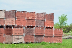 Apple Orchard Boxes #3052