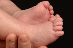 Baby Feet (v) #1616