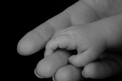 Baby Hands B&W #1619