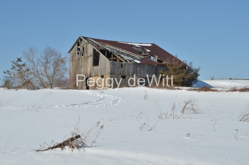 Barn Milford Winter 2014 #3071