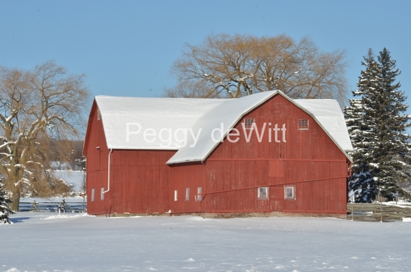 Barn Red Picton Winter #3074