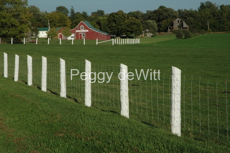 Barn White Fence #1805