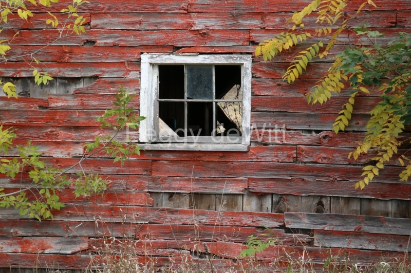 Barn Window Gary #3130
