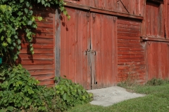 Barn Door #1518