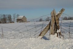 Barn Fence Winter #2767