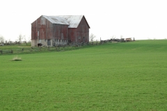Barn Green Field #1622