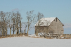Barn Grey Winter #2768