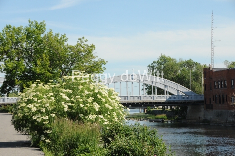 Belleville Bridge River Spring #2778