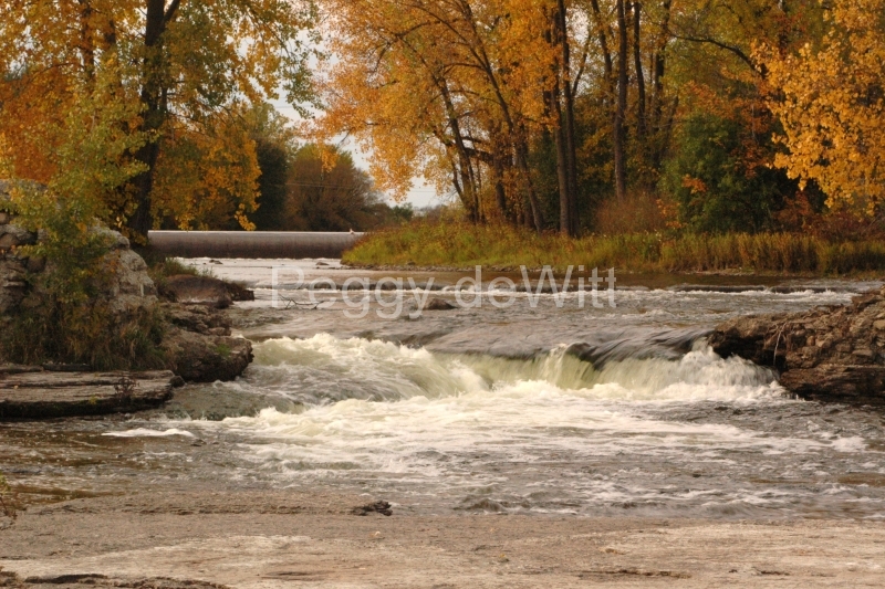 Belleville Moira River Fall #1644
