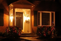 Belleville Door House Christmas #2784