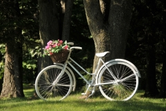 Bike White #2858