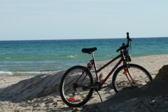 Sandbanks Bike #3327
