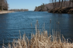 Black River Spring #1770