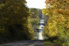 Campbellford Fall Road #1650
