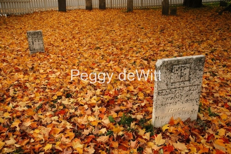 Cemetery Fall #746
