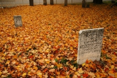 Cemetery Fall #746