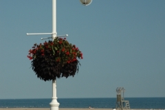 Cobourg Beach Lamp Post (v) #1334