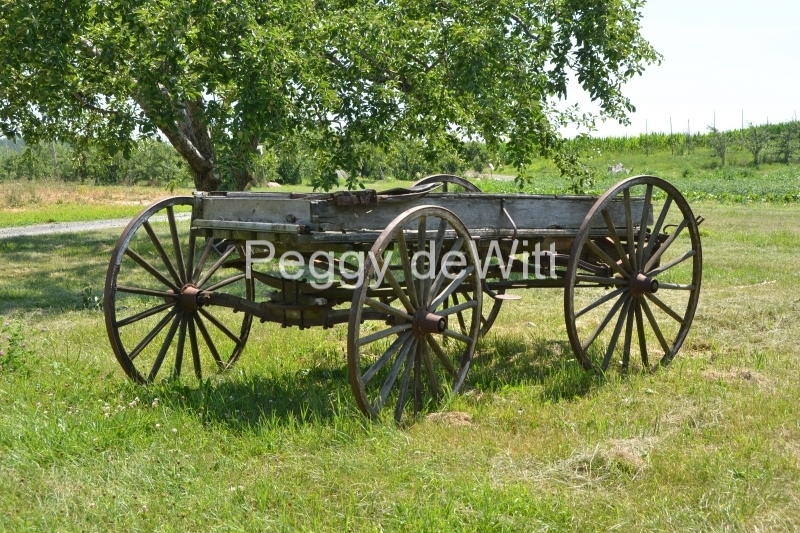Wagon Orchard #3445