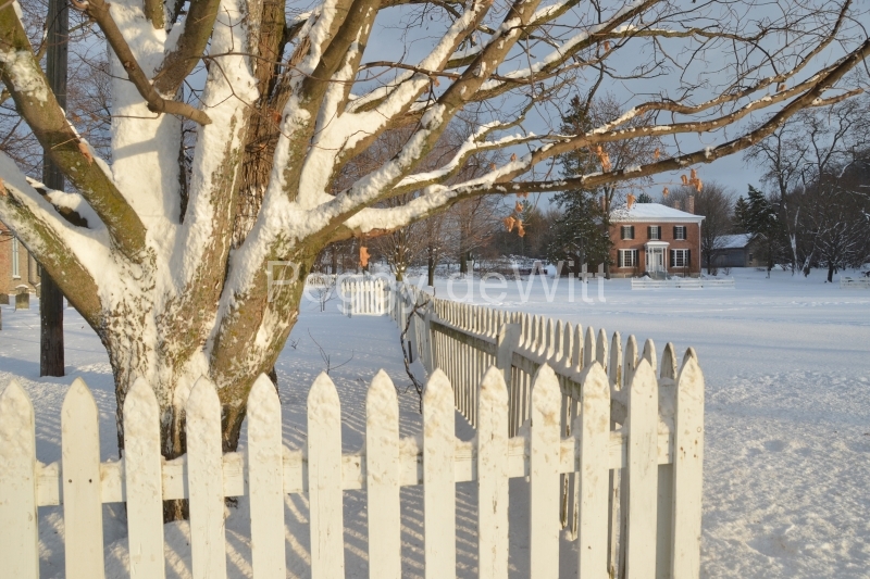 Fence Picket Macaulay Winter #3190