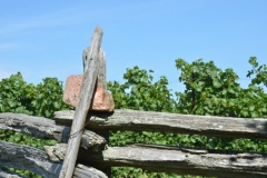 Fence Rail Rock #2979