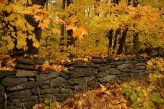 Fence Rock Fall 2 #1819