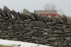 Fence Stone Barn Amherst Island #2505