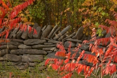 Fence Stone Red Fall #3194