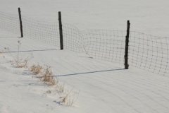 Fence Wire Winter #2377