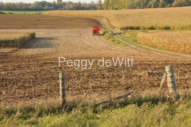 Field Corn Red Wagon #2993