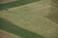 Field Aerial Waupoos #1248
