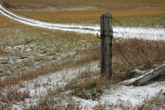 Field Bloomfield Fence Post #1308