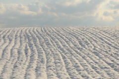 Field Ploughed Clouds Winter #3020