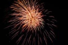 Fireworks Canada Day 5 #1606
