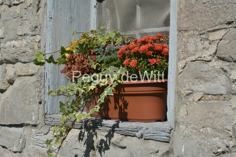 Flowers Window Box Fall #3249