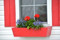 Flowers Red Window Box #3236