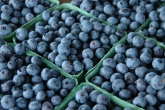 Food Blueberries Fruit Waupoos #2536