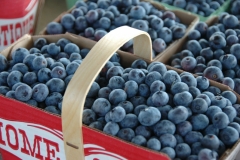Food Blueberries Waupoos #2537