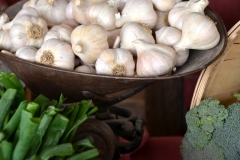 Food Vegetable Stand Garlic #3251