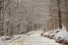 Lane Storms Road Winter #2179