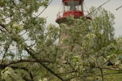 Lighthouse Marine Museum Blossom (v) #1552