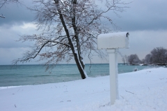 Mailbox Outlet Winter #1074 a