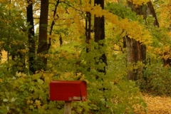 Mailbox Red Fall (v) #734