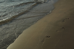 North Beach Footprints #638
