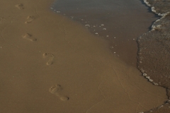 North Beach Footprints (v) #646