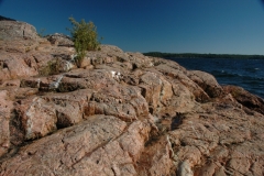 Parry Sound Granite Rock #1246