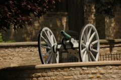 Perth Cannon #1354