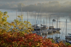 Picton Harbour Misty Fall #3309