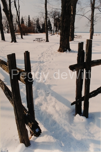 Sandbanks West Point Rail Fence Winter (v)
