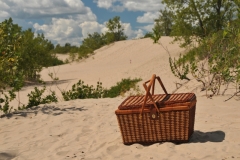 Sandbanks Dunes Picnic Basket #3334