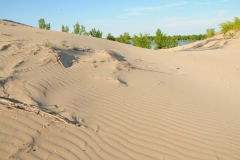 Sandbanks Dunes Sand #2661